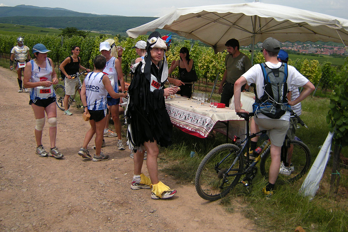 2008-vignoble-02